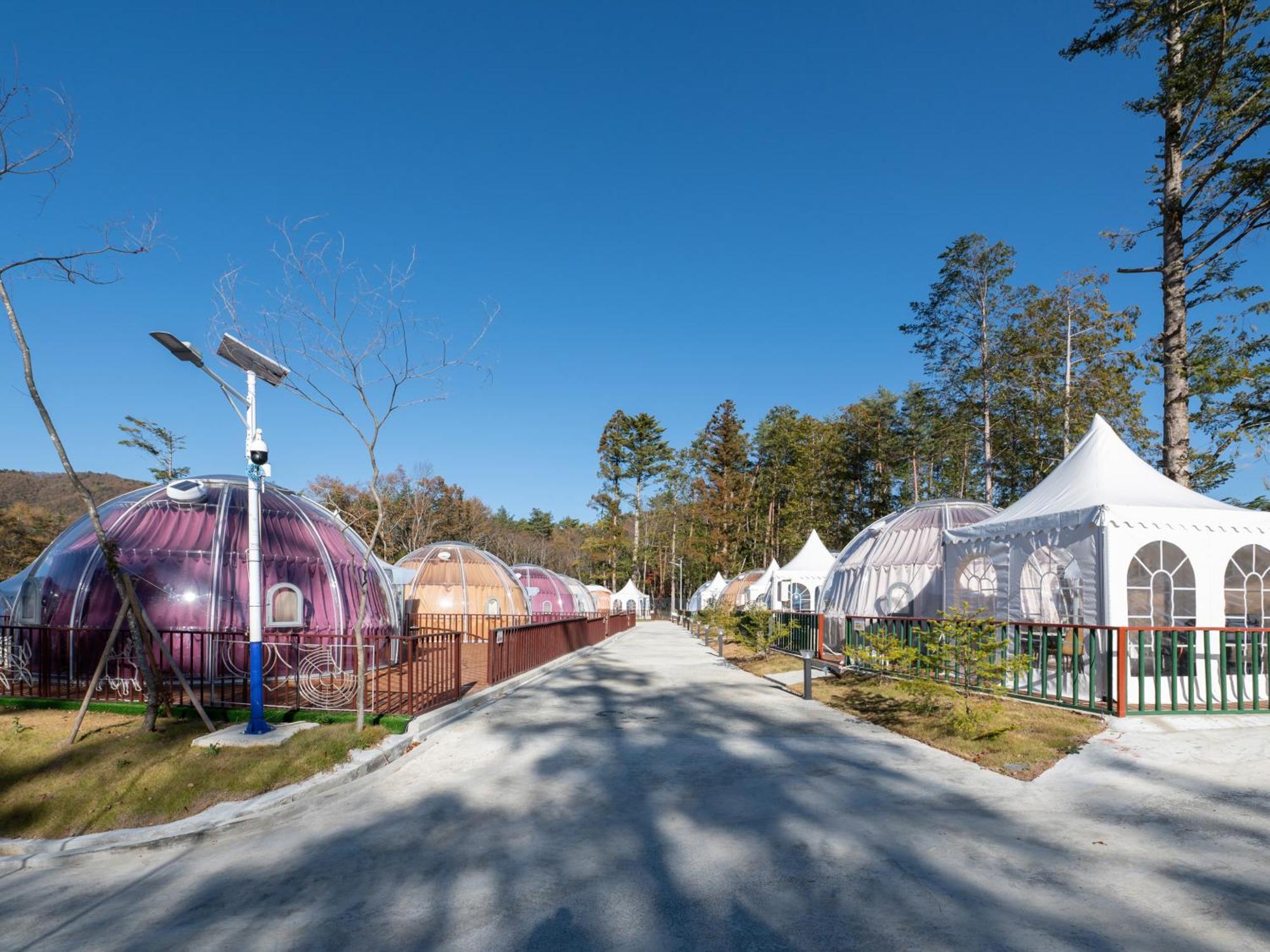 Camping Fuji Hoshizorano Mura Tabist
